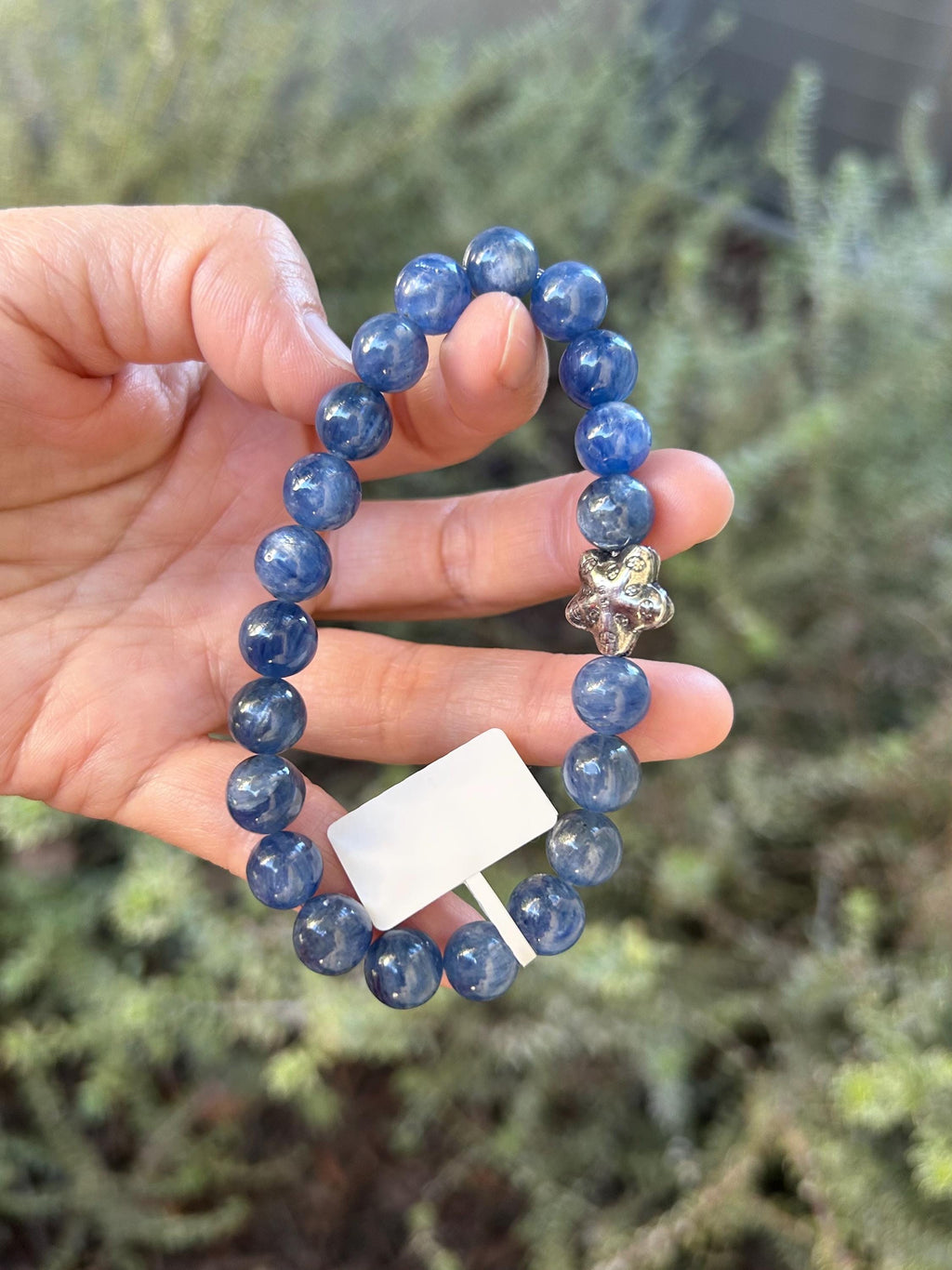 Genuine Blue Kyanite Healing Stone beads bracelet with silver sea star bead, fits up to 17cm wrist (26-029)